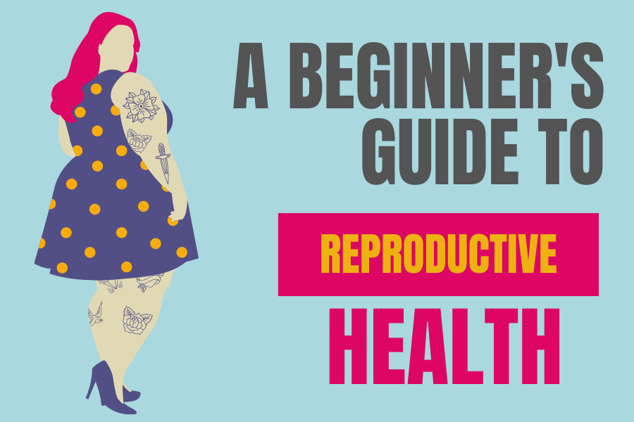 A Beginner's Guide to reproductive health
